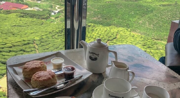 tempat menarik di cameron highland pada waktu malam